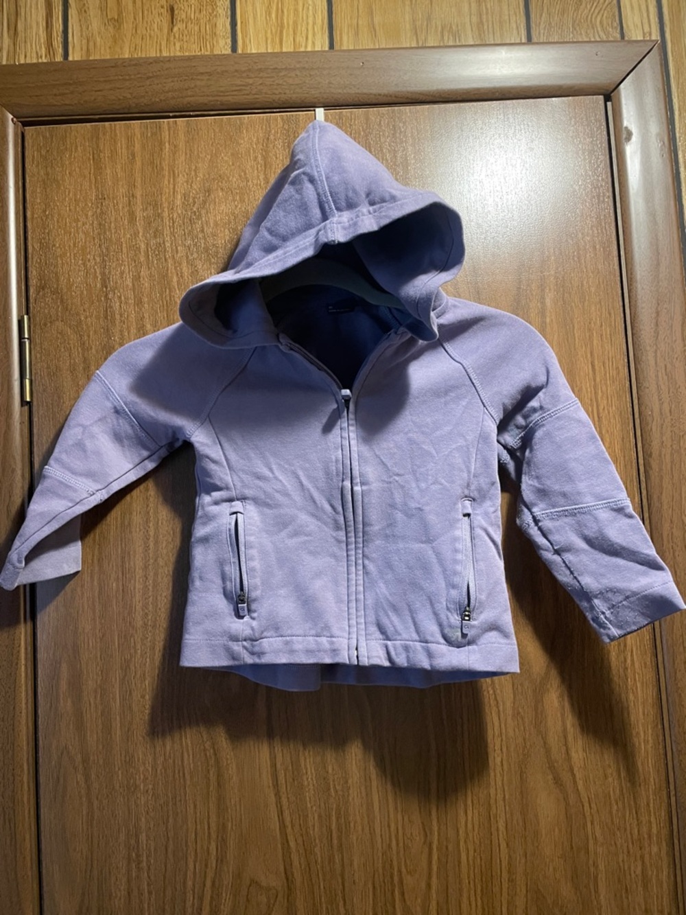 GAP Lilac Youth Zip Hoodie